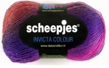 Scheepjes Invicta colour