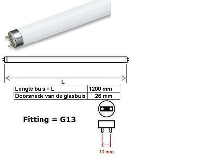  Daglicht TL-BUIS 1200mm 36W 