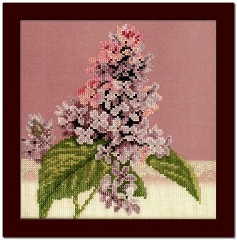 Mauve Lilac