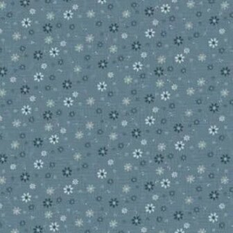 Stof 6600-266 Something borrowed, something blue by Lynette Anderson